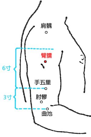 臂儒穴|臂臑穴－【中醫道】